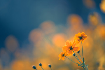 iDropper 是什么？