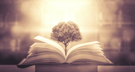 哈飞中意面包车多重