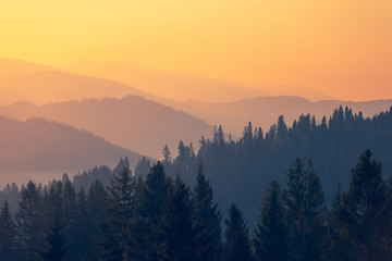 黄磊老婆孙俪个人资料简介身高体重