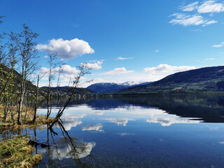 iDropper 是什么？