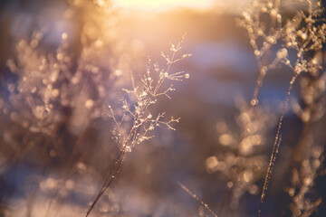 Video Killed the Radio Star 歌词