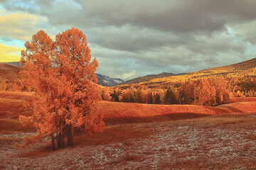 iDropper 是什么？