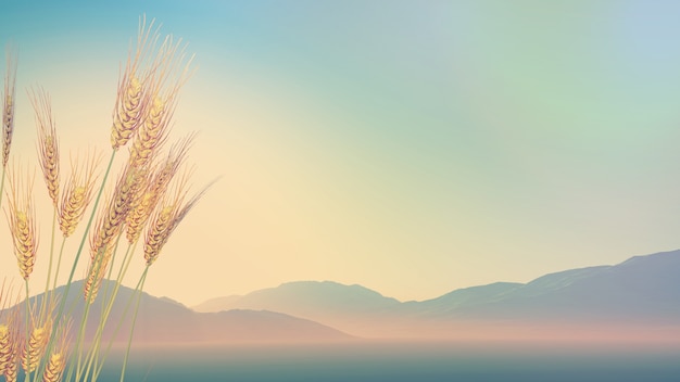 iDropper 是什么？