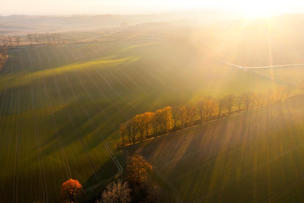 求Mother teresa.（特蕾莎）的至理名言。