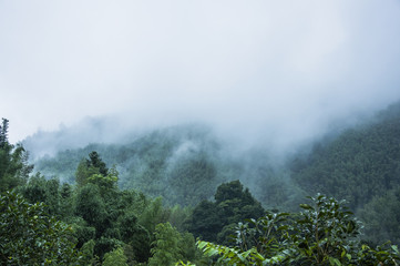 iDropper 是什么？